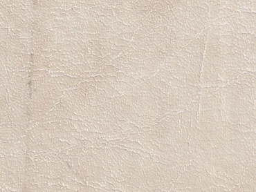 Throne cream 140 cm  30 lfm pro Rolle